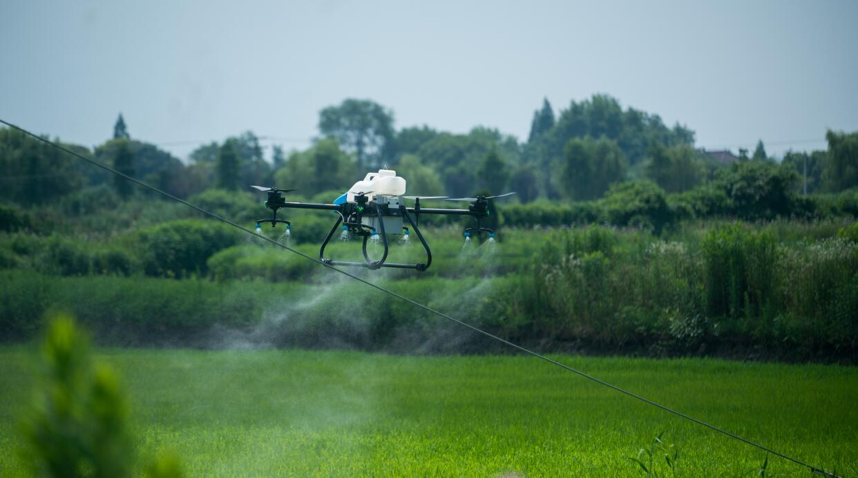 Un drone de pulvérisation BEONDT déployé pour lutter contre les ravageurs et les maladies sur 190 000 acres de riz à Yingkou, province du Liaoning